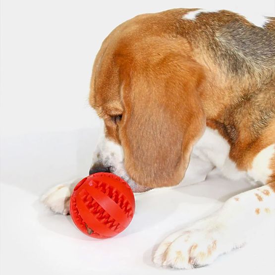 Červená žuvacia loptička pre psov PJ-090