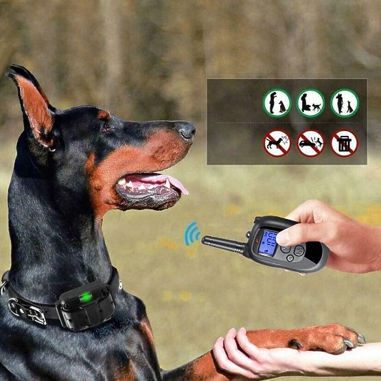 ELEKTRICKÝ VÝCVIKOVÝ OBOJOK PRE PSA pj-098