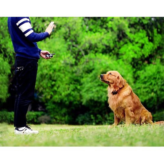 ELEKTRICKÝ VÝCVIKOVÝ OBOJOK PRE PSA pj-098