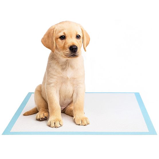 Hygienické podložky pre zvieratá BARRY 50 ks