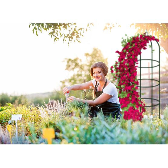 Kovová pergola stĺpik tmavozelená 190 cm