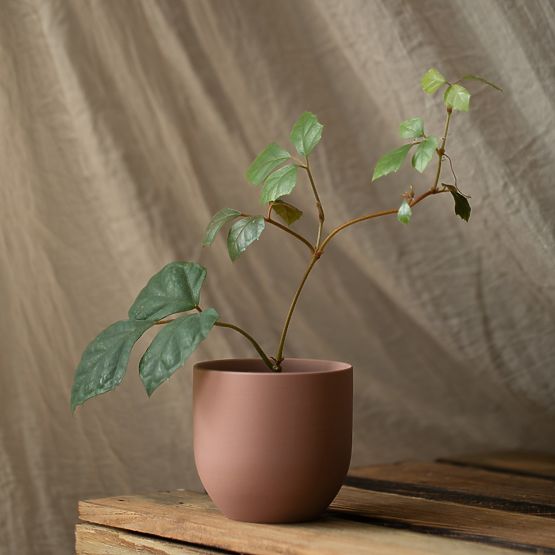 Kvetináč SHIRE farba púdrová ružová moderný štýl do interiéru ameliahome