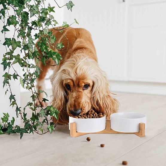 MISKA NA KRMIVO A VODU PRE ZVIERATÁ BIELA 331579