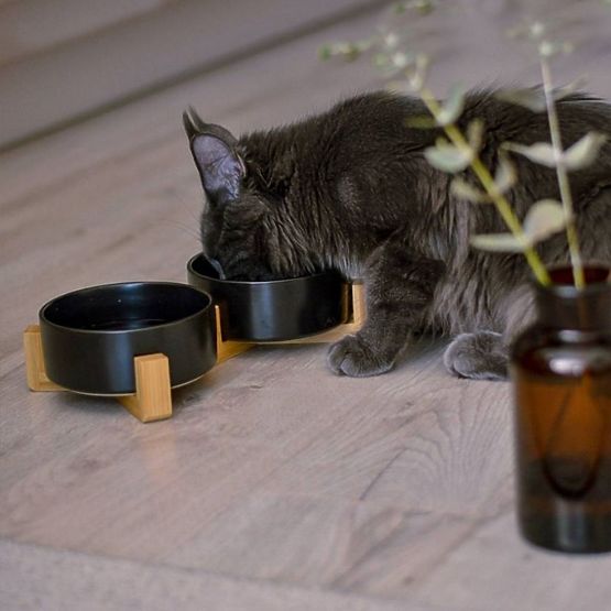 MISKA NA KRMIVO A VODU PRE ZVIERATÁ BIELA 331579