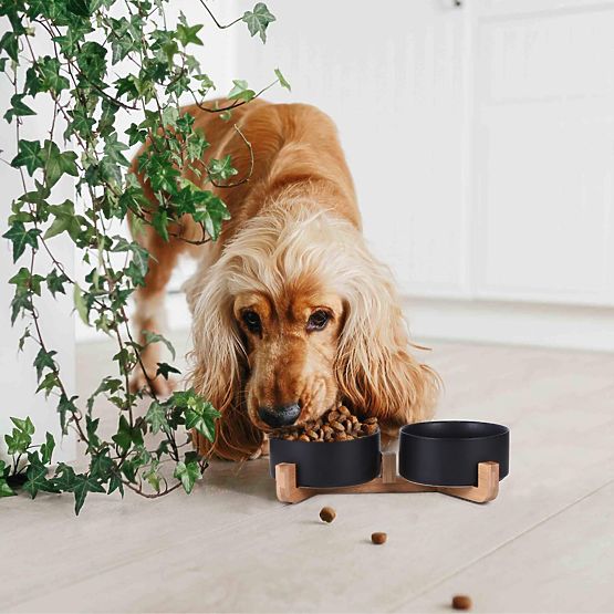 MISKA NA KRMIVO A VODU PRE ZVIERATÁ ČIERNA 331579