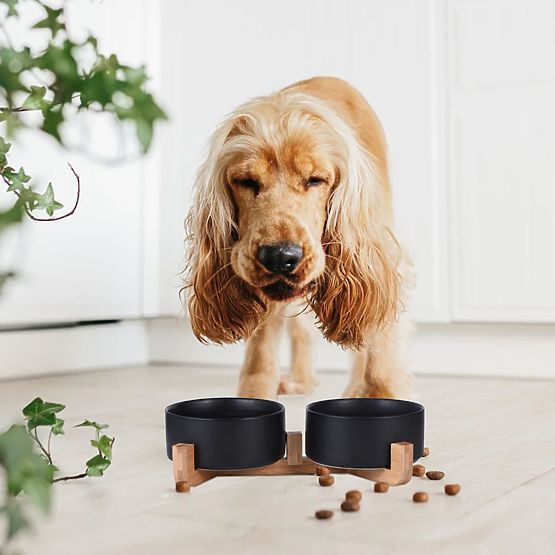 MISKA NA KRMIVO A VODU PRE ZVIERATÁ ČIERNA 331579