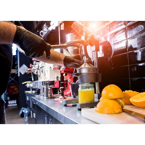 Odšťavovač na citrusy a granátové jablká Verna