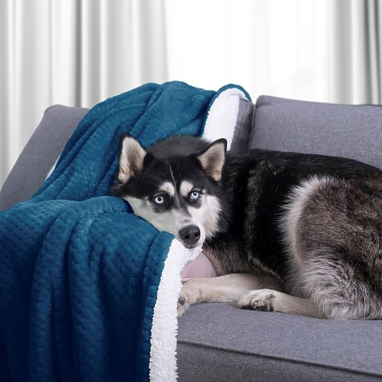 Prehoz SHLEEPY farba indigo žakárovo razený klasický štýl 130x180