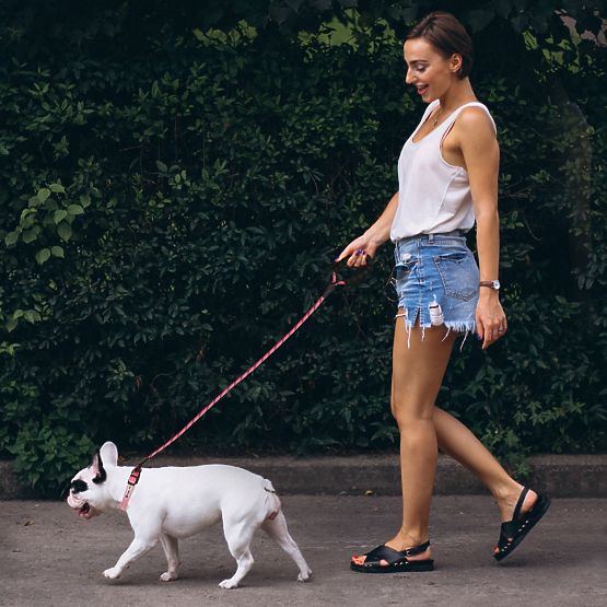 Reflexné vodítko a obojok pre psa PJ-036 Ružová