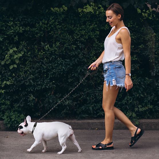 Reflexné vodítko a obojok pre psa PJ-091 čierna