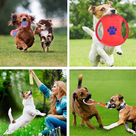 Sada 10 hračiek pre psov DYLAN preťahovadlá