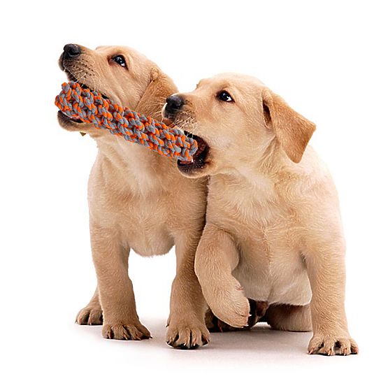 Sada preťahovacích hračiek pre psov SPANKY 5 kusov