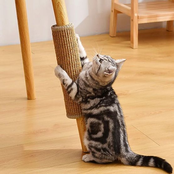 ŠKRABADLO PODLOŽKA PRE MAČKU 60x40cm 332494