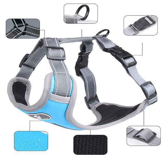 Tréningový postroj pre psa ASTRO modrý veľkosť S