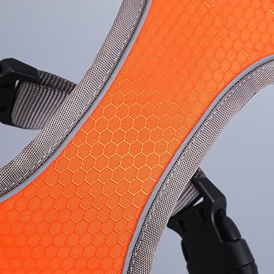 Tréningový postroj pre psa ASTRO oranžový veľkosť L