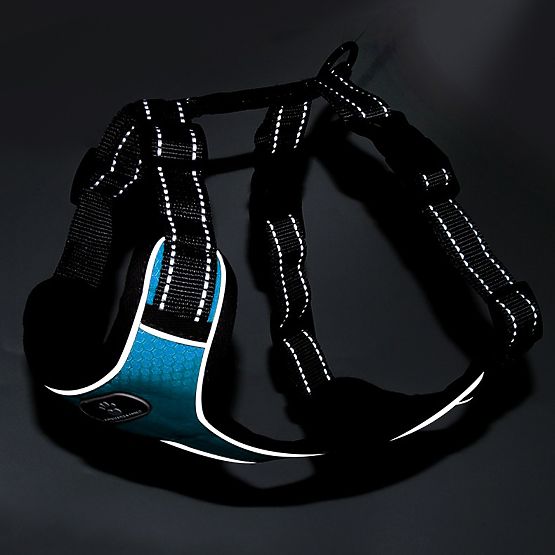 Tréningový postroj pre psy ASTRO modrý veľkosť M