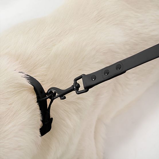 Vodítko a obojok pre psa PJ-067 čierna S