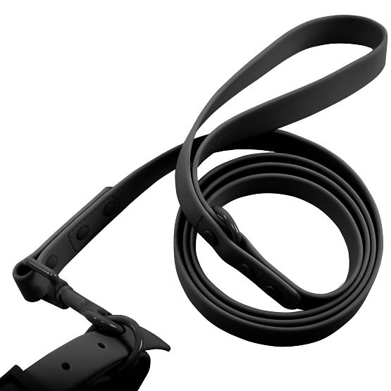 Vodítko a obojok pre psa PJ-071 čierna M