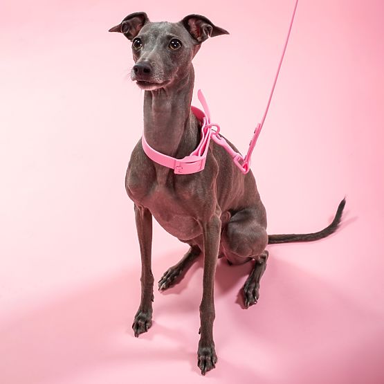 Vodítko a obojok pre psa PJ-072 ružová M