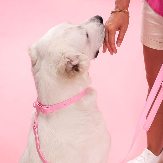 Vodítko a obojok pre psa PJ-076 ružová L