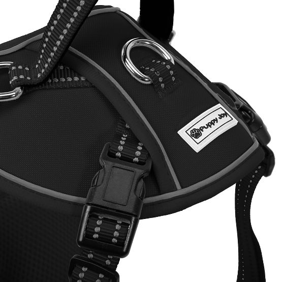 Vodítko a postroj pre psa PJ-047 čierna XS