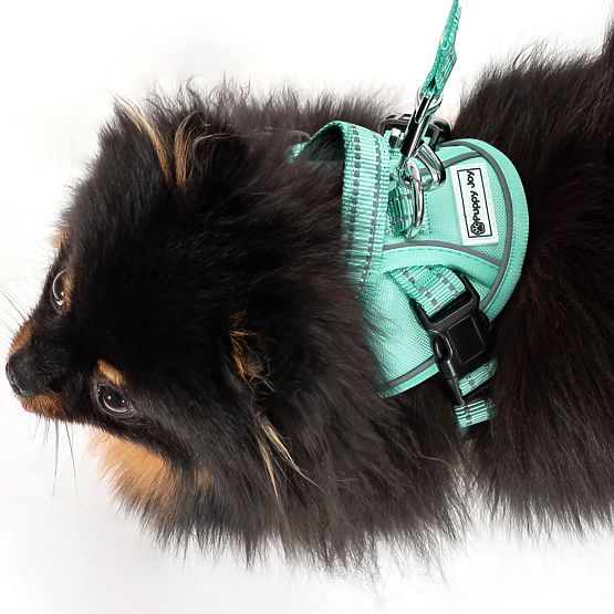 Vodítko a postroj pre psa PJ-049 zelená XS