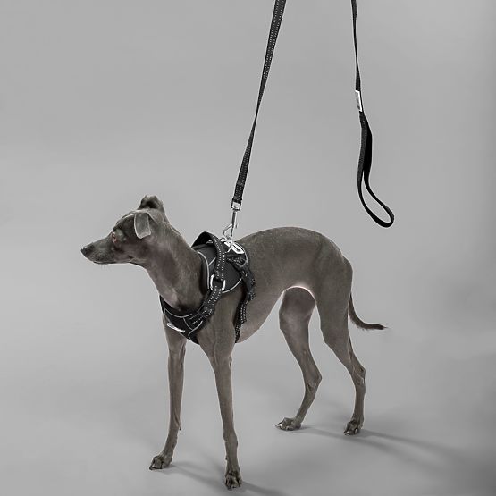 Vodítko a postroj pre psa PJ-051 čierna S