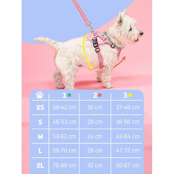Vodítko a postroj pre psa PJ-060 ružová L