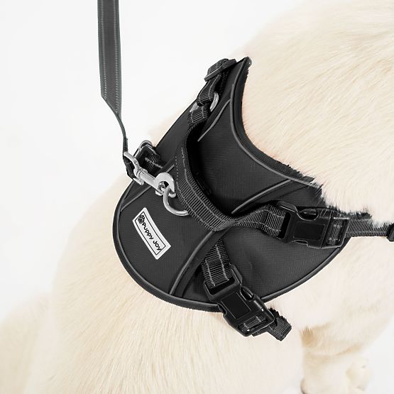 Vodítko a postroj pre psa PJ-063 čierna XL