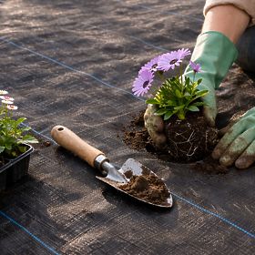 Čierna agrotextília UV 90g proti burinám rohož 1,6x100m kolíky MulltiGarden, MultiGarden