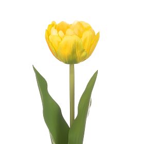 Umelá kvetina TULIPI žltá farba moderný štýl ameliahome