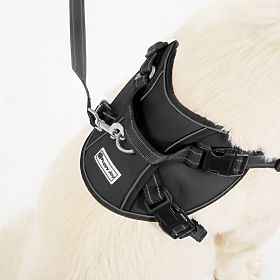 Vodítko a postroj pre psa PJ-063 čierna XL, PuppyJoy